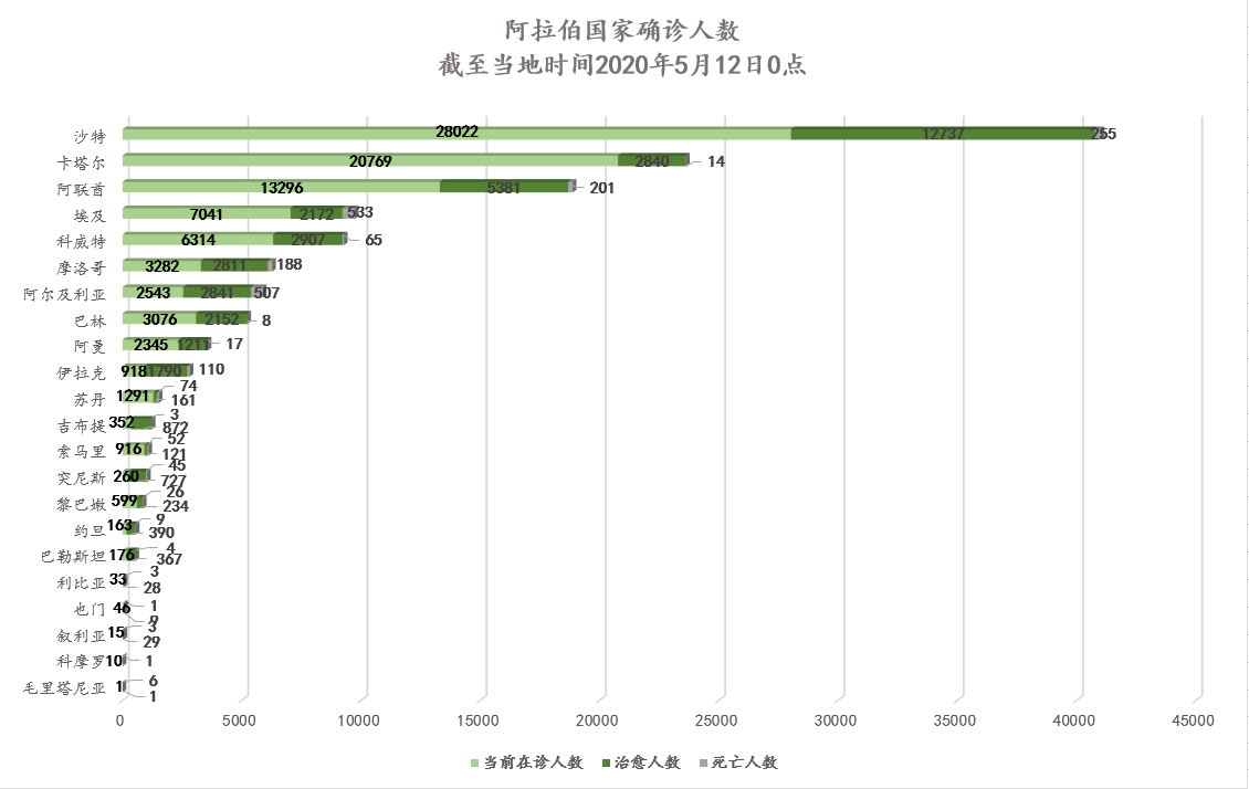 沙特阿拉伯确诊病例图片